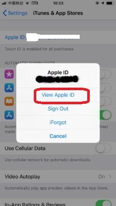 view apple ID